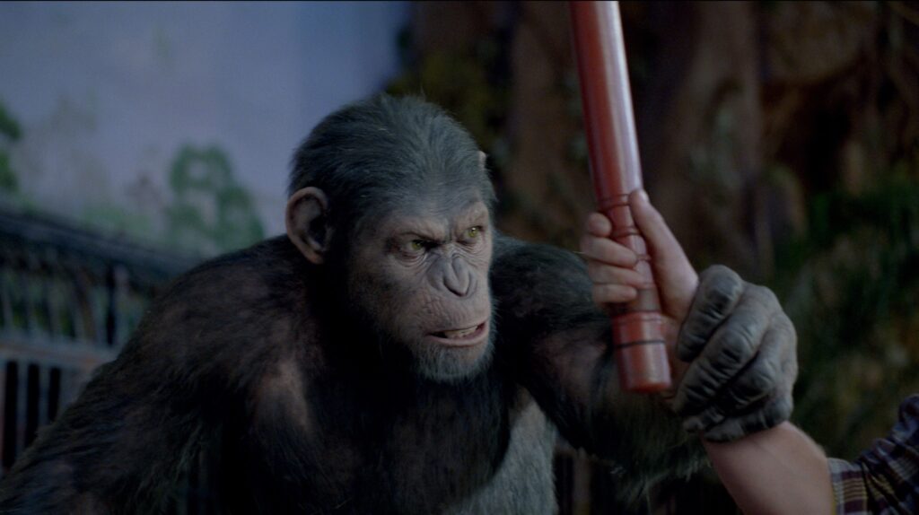 Rise of the Planet of the Apes  Movie