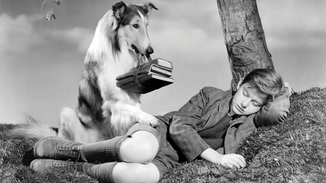 Lassie Come Home (1943)