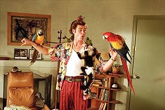  Ace Ventura