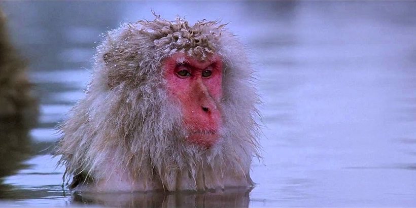 Baraka (1992)